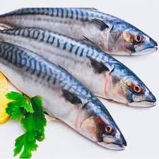 Kaboria Seafood